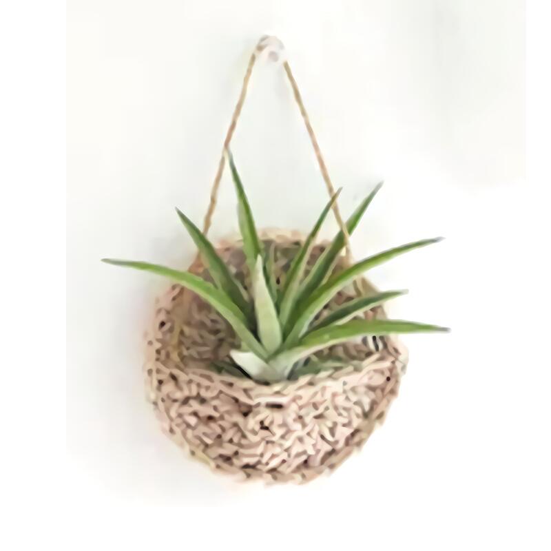 Multicolor Wall Hanging Plant Holder