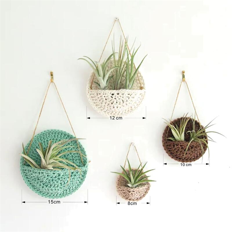 Multicolor Wall Hanging Plant Holder